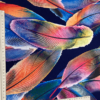 Feathers Indigo