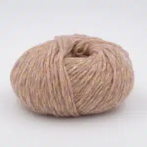 Phil Disco Champagne*